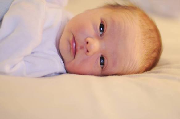 1904016_10152012731216843_763988979_n