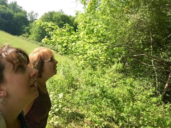 13329887_10154055332616343_1739874536_n