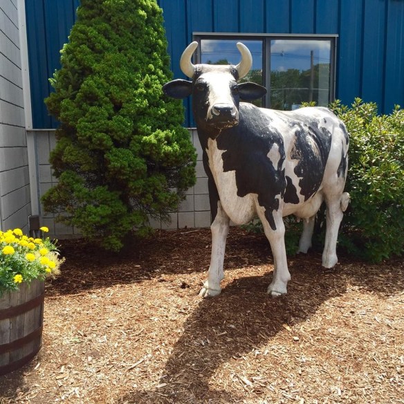 13769423_10154213798486343_7749656959724362926_n