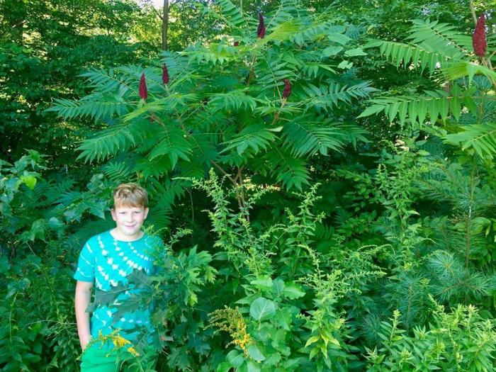 14045663_10154250221696343_5389840166113188783_n