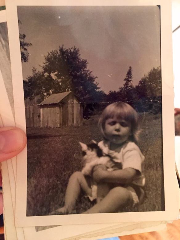 14102251_10154266890791343_8783302623058142051_n