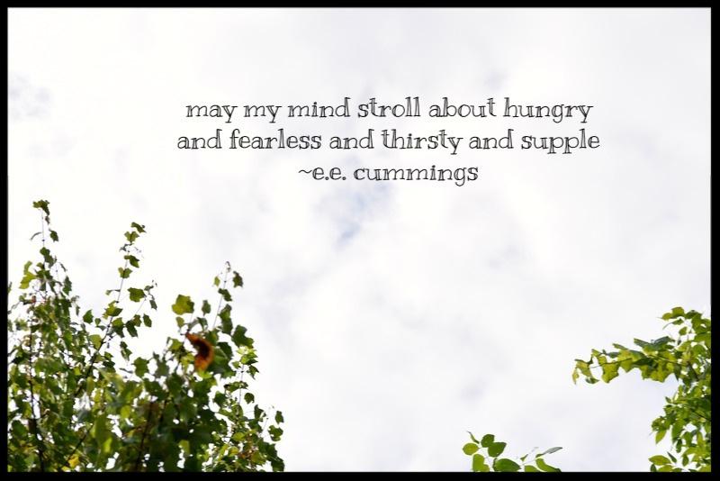 28573abe-d423-4ebc-847f-5fc9f450be08_zpsf4sivucv