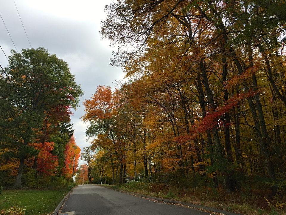 14479823_10154427011576343_948243207598122236_n