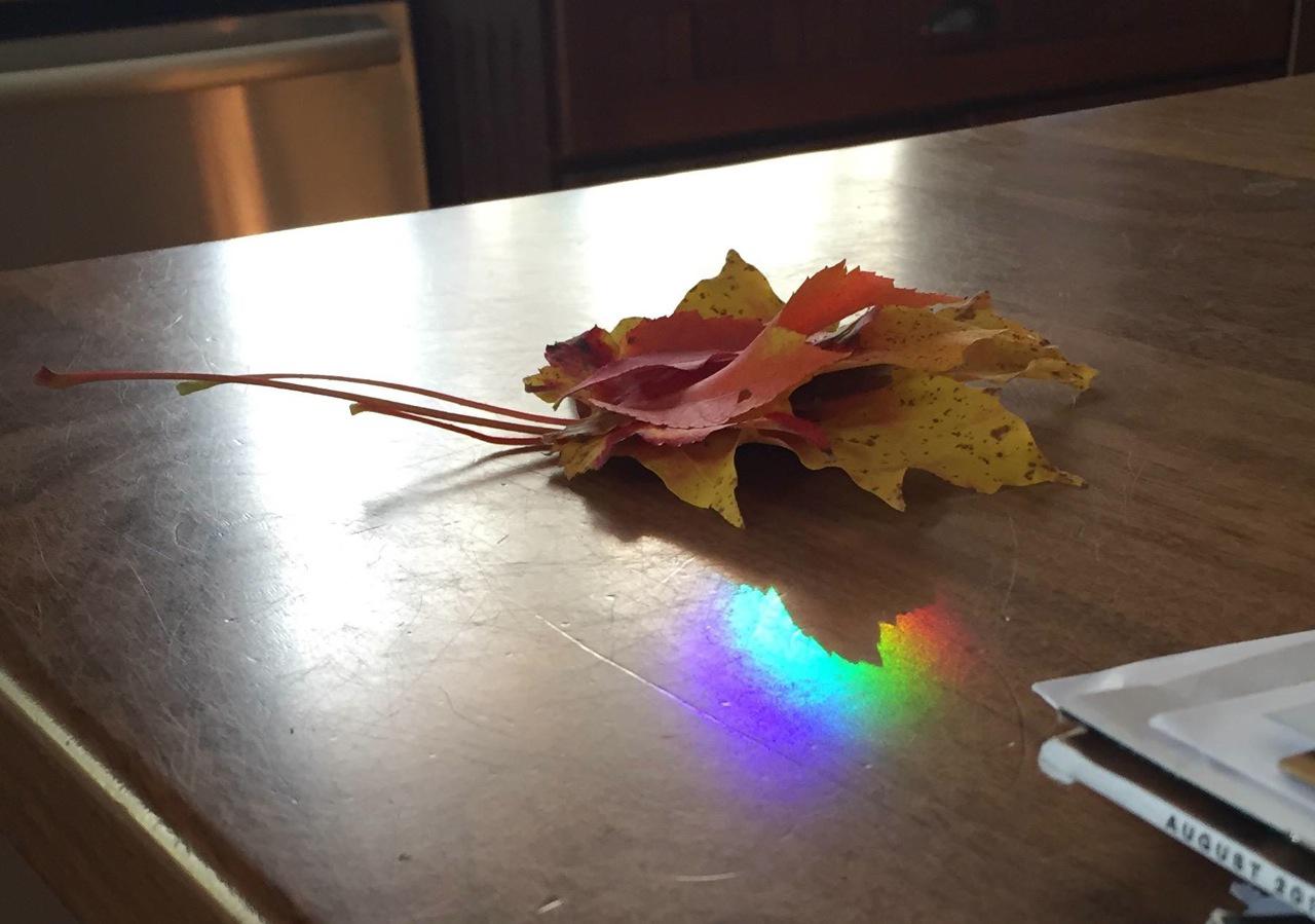 14691909_10154427012421343_594032393266934327_o