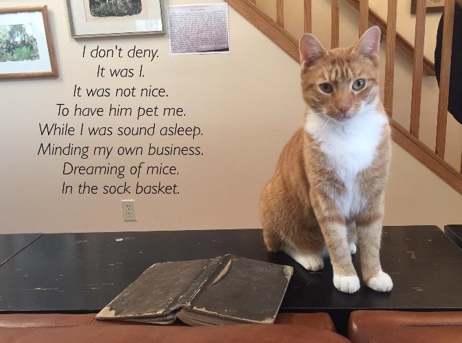 10632805_10154522445526343_4449639491705963275_n