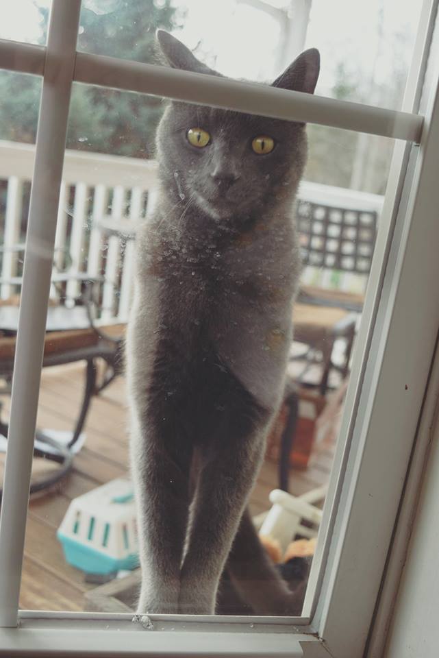 15078925_10154534036846343_286726381765477948_n