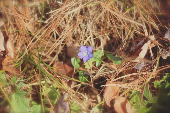 15168841_10154530370126343_1956135334415259969_o