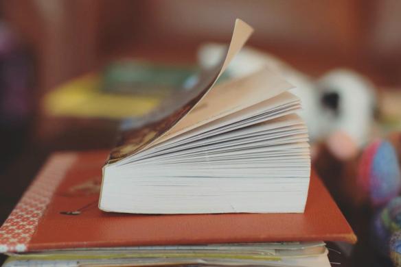 15252556_10154558478796343_5693846384408736668_o