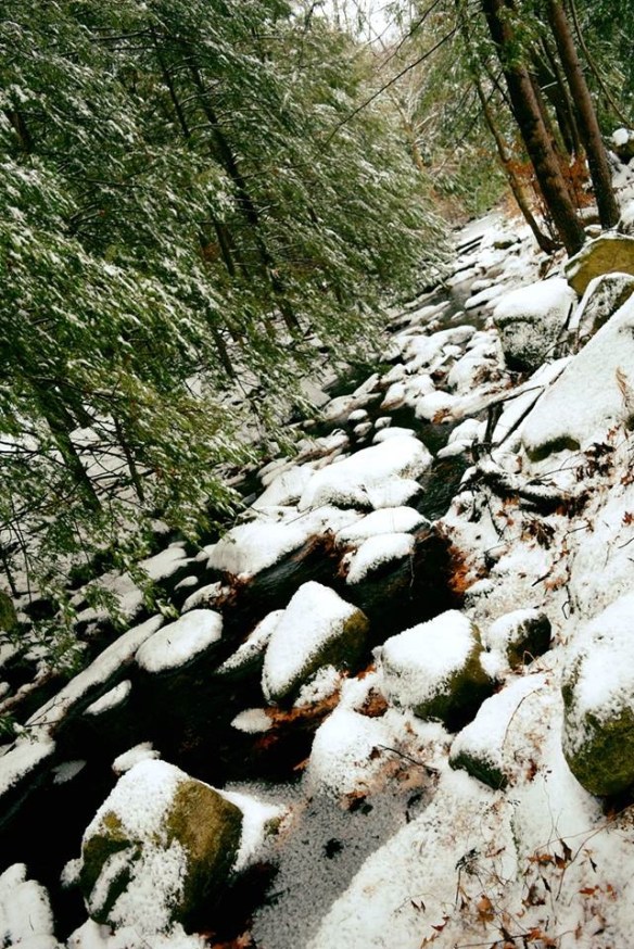 15380395_10154607036441343_706655678996406496_n