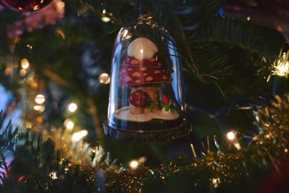 15418311_10154617230156343_695645883809576961_o