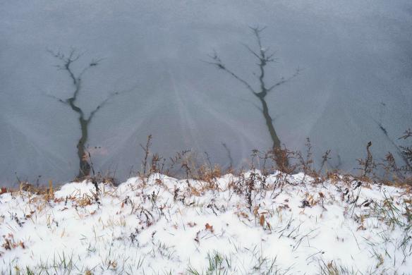 15443026_10154607037751343_5737261405551335942_o