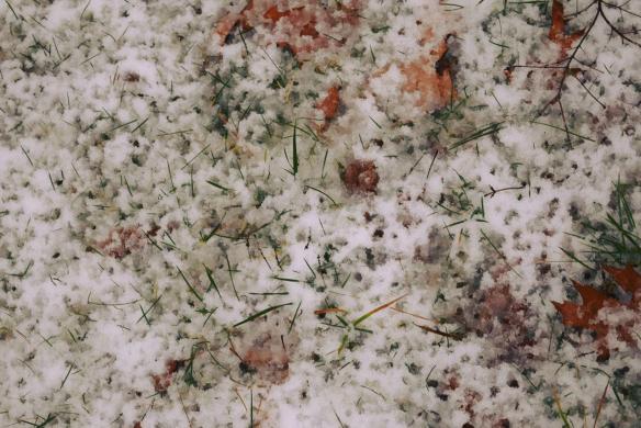 15540621_10154607033861343_997903343682046239_o