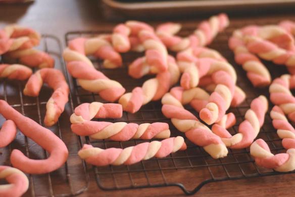 15540911_10154617232496343_5243660432032347436_o