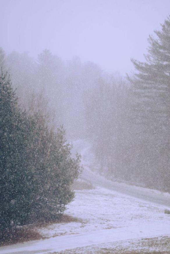 15541469_10154617213651343_6547648156094962021_n