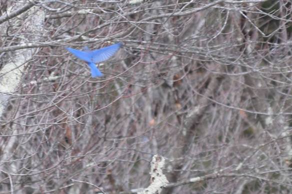 15541572_10154611908931343_4118940578600881728_n