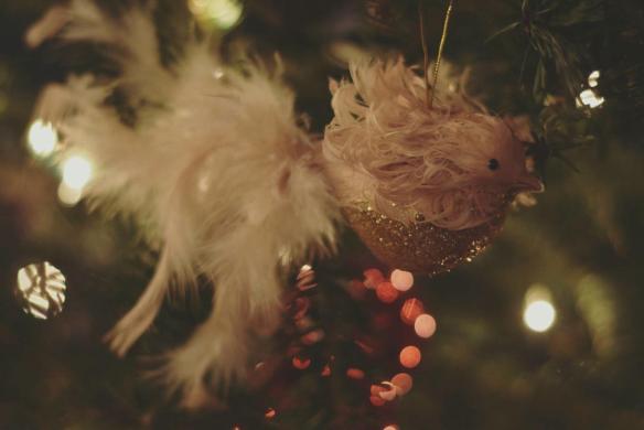 15578184_10154617230361343_4092383114305265560_o