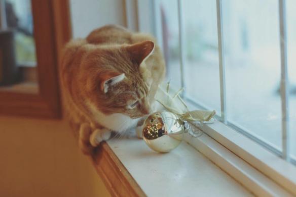 15578206_10154617231851343_4162142901720382920_o