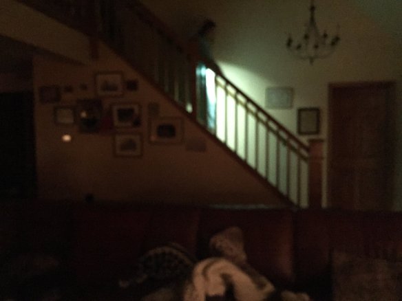 15776724_10154650368061343_2932638900759779796_o