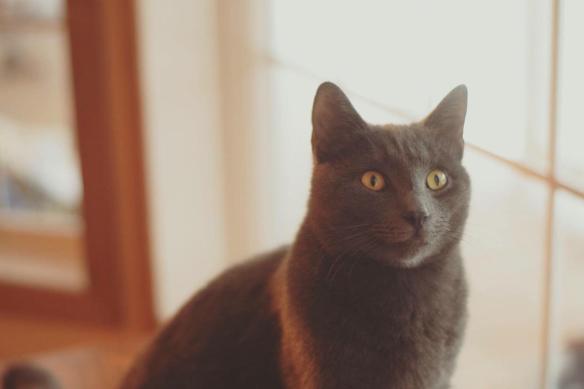 15936938_10154694539256343_2792555159306206651_o