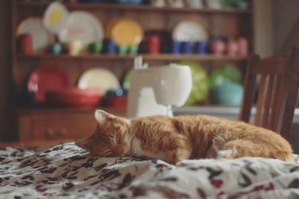 16113311_10154720856391343_8347630943298969185_o