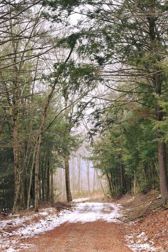 16463818_10154760497341343_5001977867658095260_o