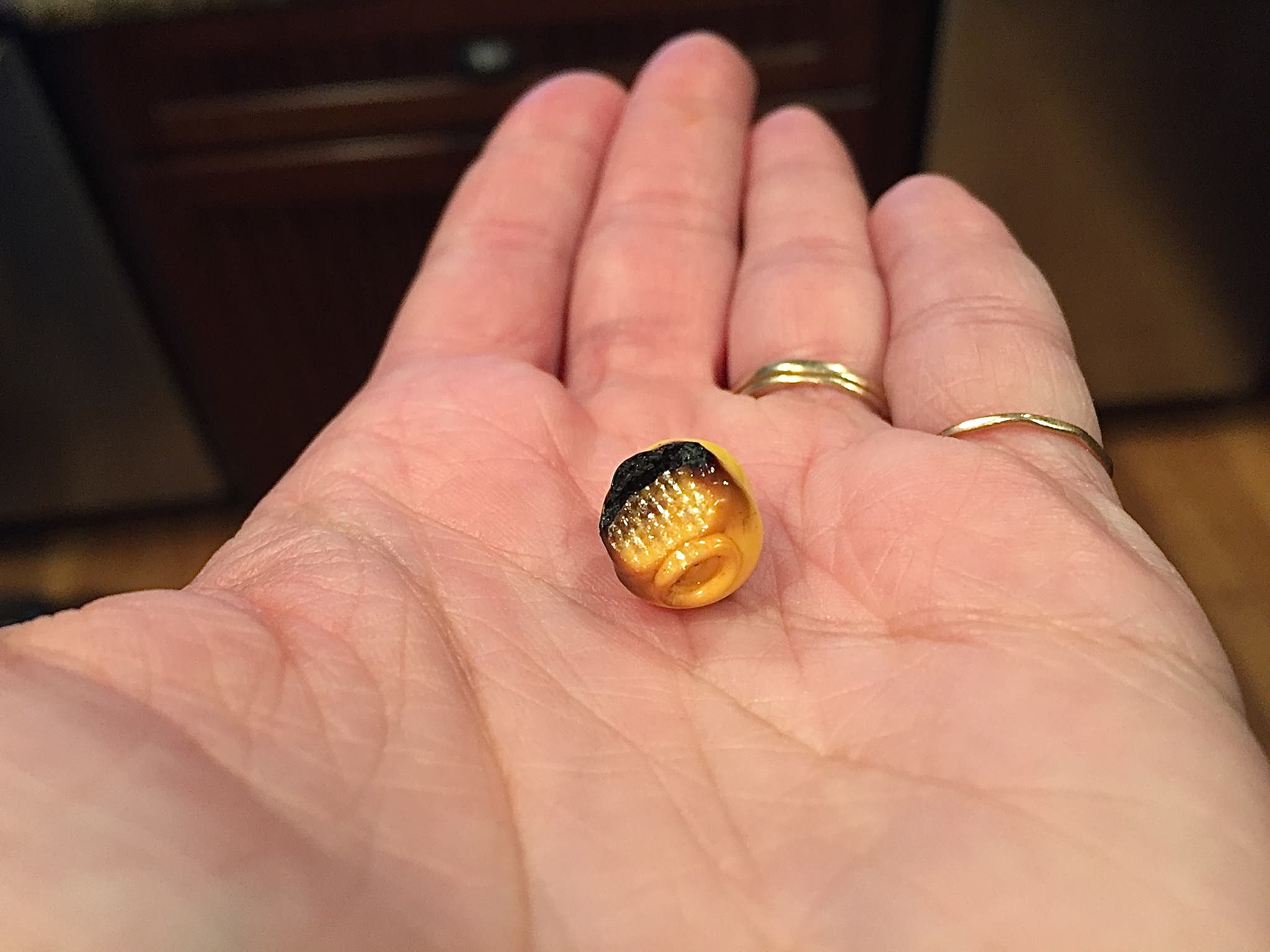 16601934_10154792192201343_8349707261937953315_o