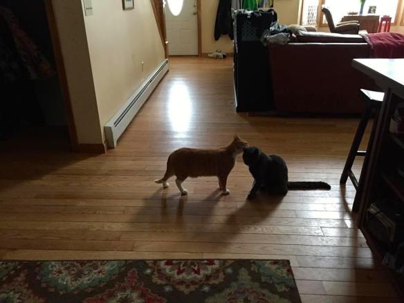 16730122_10154807851931343_4043446451893820370_n