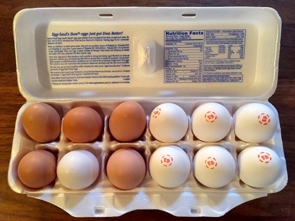 17021546_10154843756476343_2634354557335203072_n