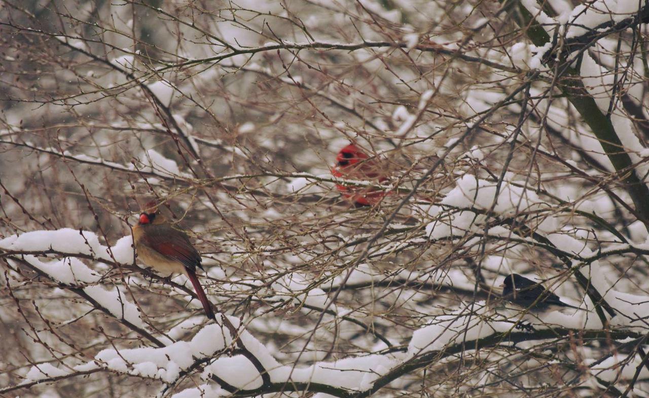 17311164_10154884650506343_5927723670120196785_o