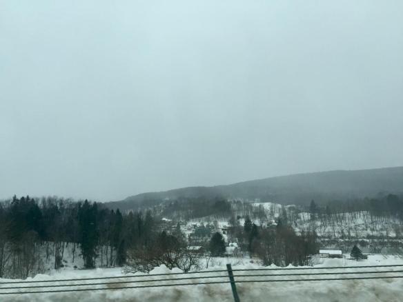 17390484_10154903732876343_3528994584830708622_o