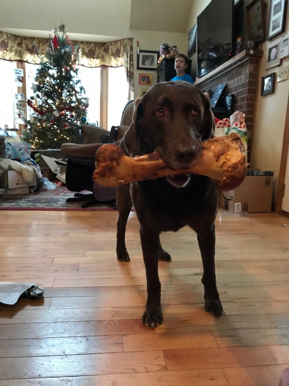 LZJL%7M1Rm6oMnKt4fUzkA