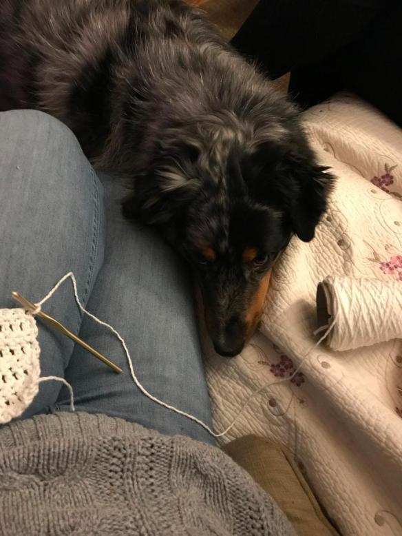 mCLZta8LRl+9Q9%I9z6QxQ