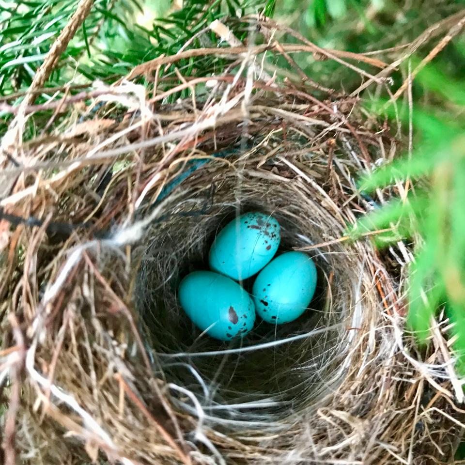 fullsizeoutput_54c8 1