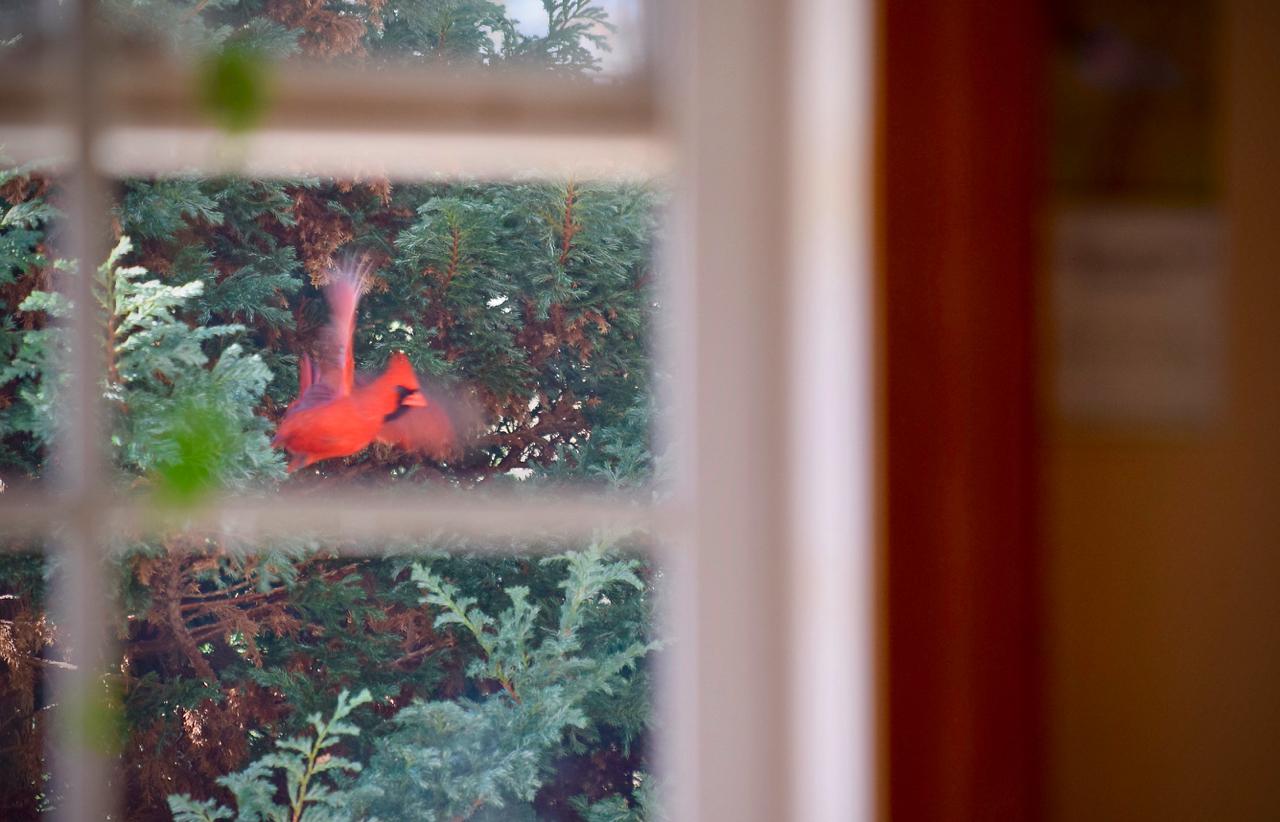 fullsizeoutput_54d6 1