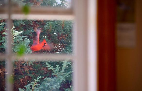 fullsizeoutput_54d6 1