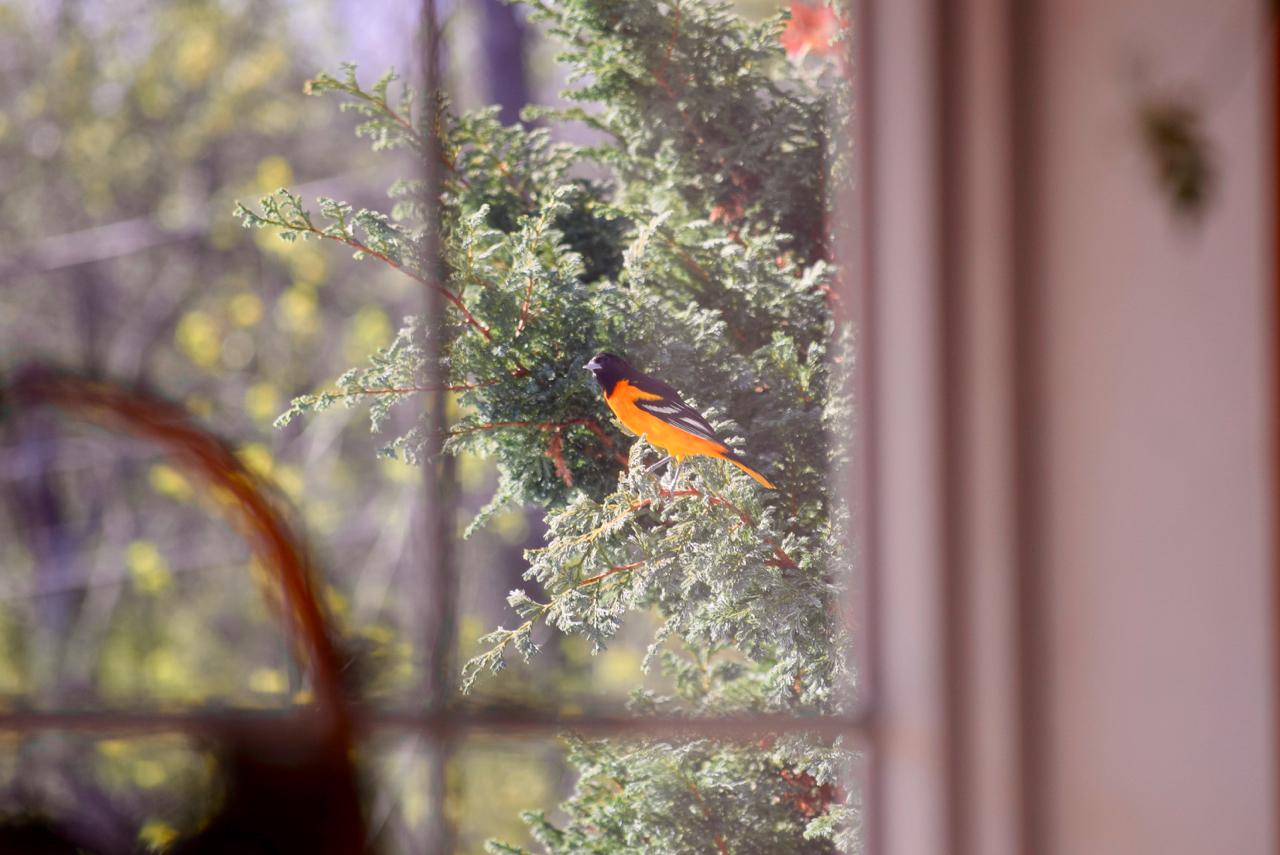 fullsizeoutput_54d8 1