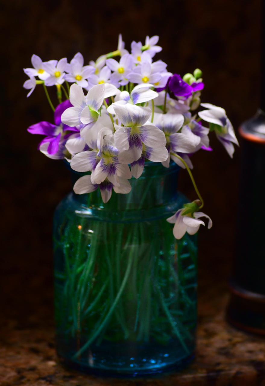 fullsizeoutput_54db 1