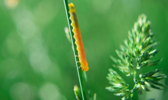 fullsizeoutput_56cf 1