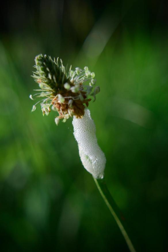 fullsizeoutput_56d5 1