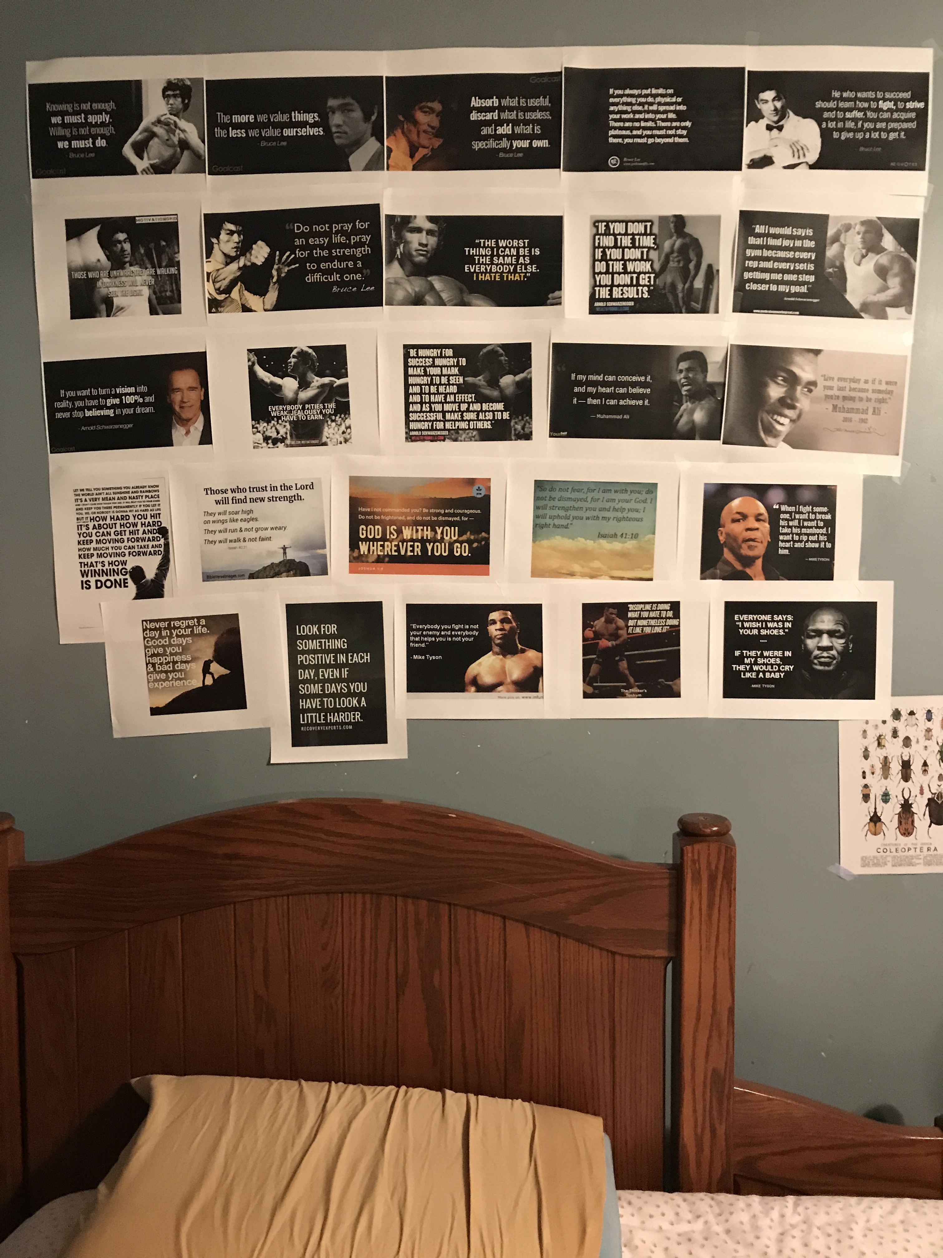 57223509981__E8687B60-A9CE-48EE-BD26-CD036A81B30B