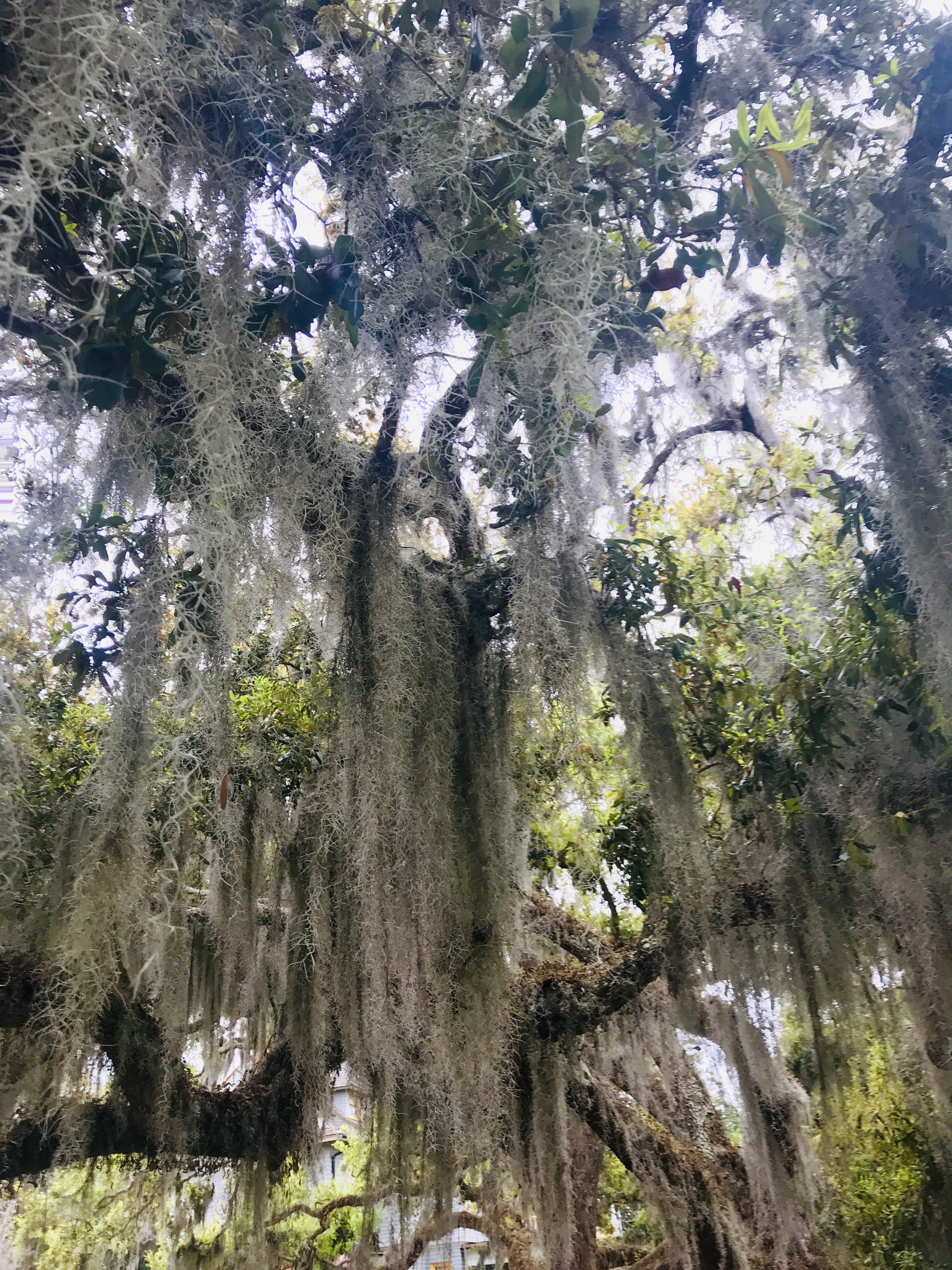 57583439157__89558F3D-5BD2-4A5D-B4FC-C3B7D186DB6C